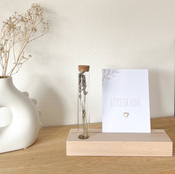 Memory Shelf / Lots of love