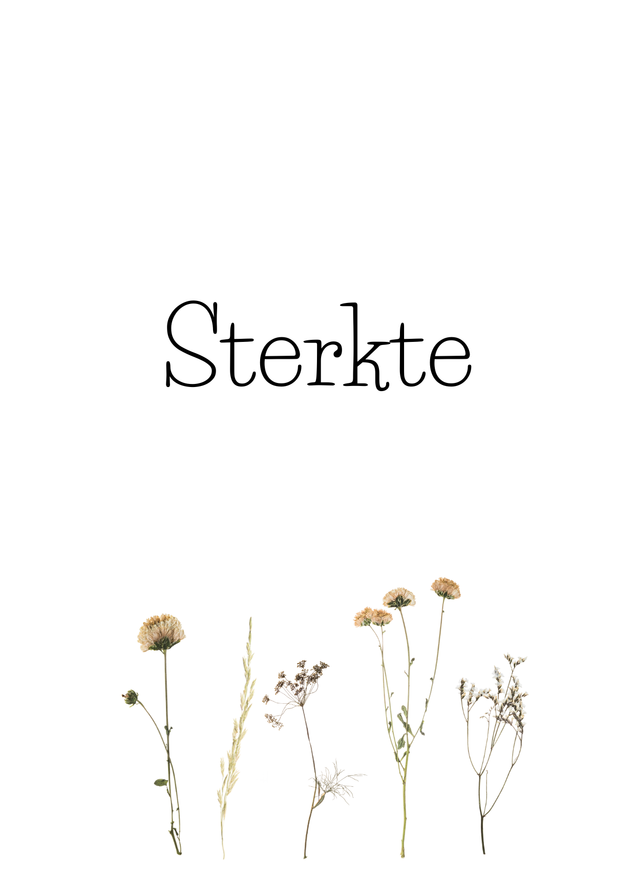 Wenskaart - Sterkte droogbloemen