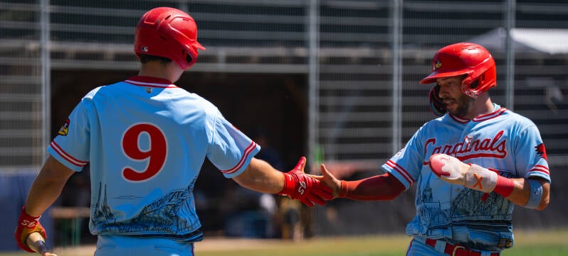 a7v04941-standard.jpg