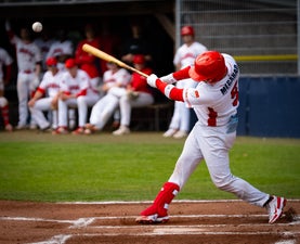 c2_00192-standard.jpg