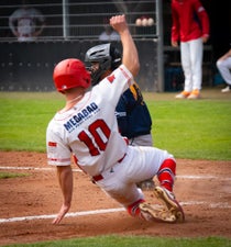 c2_00388-standard.jpg
