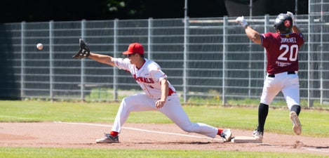 c2_00408-standard.jpg