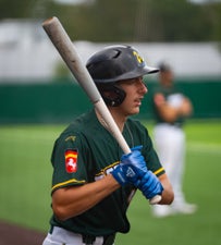 c2_03266-standard.jpg