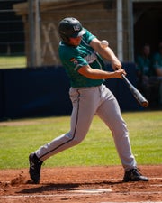 c2_03399-standard.jpg