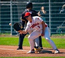 c2_03436-standard.jpg