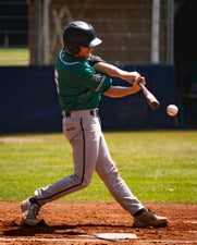 c2_03440-standard.jpg