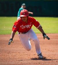c2_03484-standard.jpg