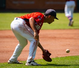 c2_03509-standard.jpg