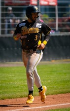 c2_03629-standard.jpg