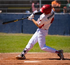 c2_03666-standard.jpg