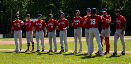 c2_03942-standard.jpg