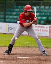 c2_03990-standard.jpg