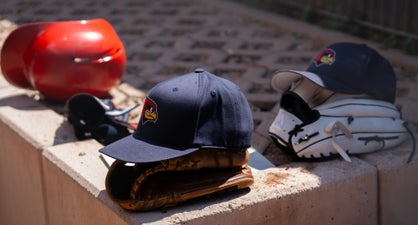 c2_03993-standard.jpg