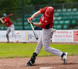 c2_03999-standard.jpg