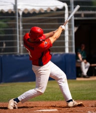 c2_04237-standard.jpg