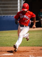 c2_04264-standard.jpg