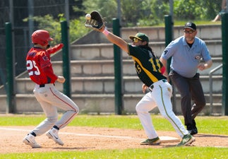 c2_04699-standard.jpg