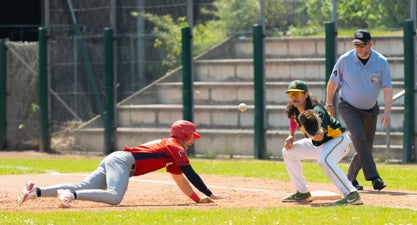 c2_04778-standard.jpg