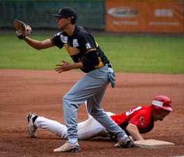 c2_05309-standard.jpg