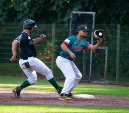c2_05438-standard.jpg