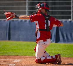c2_06595-standard.jpg