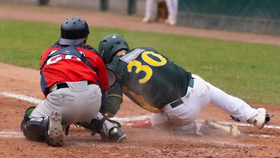 c2_06735-standard.jpg