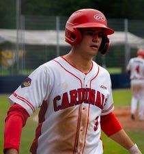 c2_07207-standard.jpg