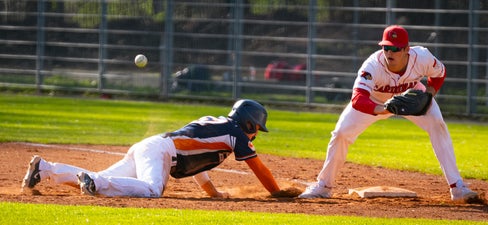 c2_07761-standard.jpg