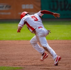 c2_07942-standard.jpg