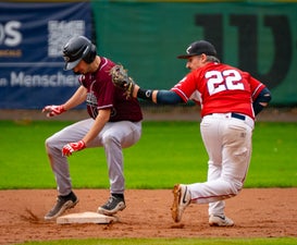 c2_08186-standard.jpg