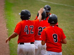c2_08203-standard.jpg