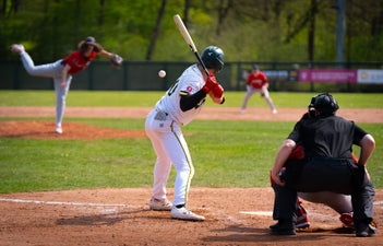 c2_08260-standard.jpg