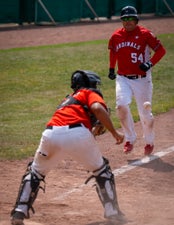 c2_08297-standard.jpg