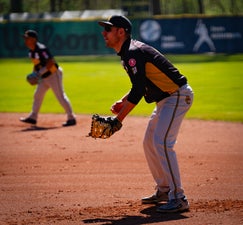c2_08502-standard.jpg