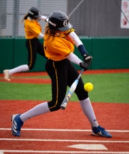 c2_08906-standard.jpg