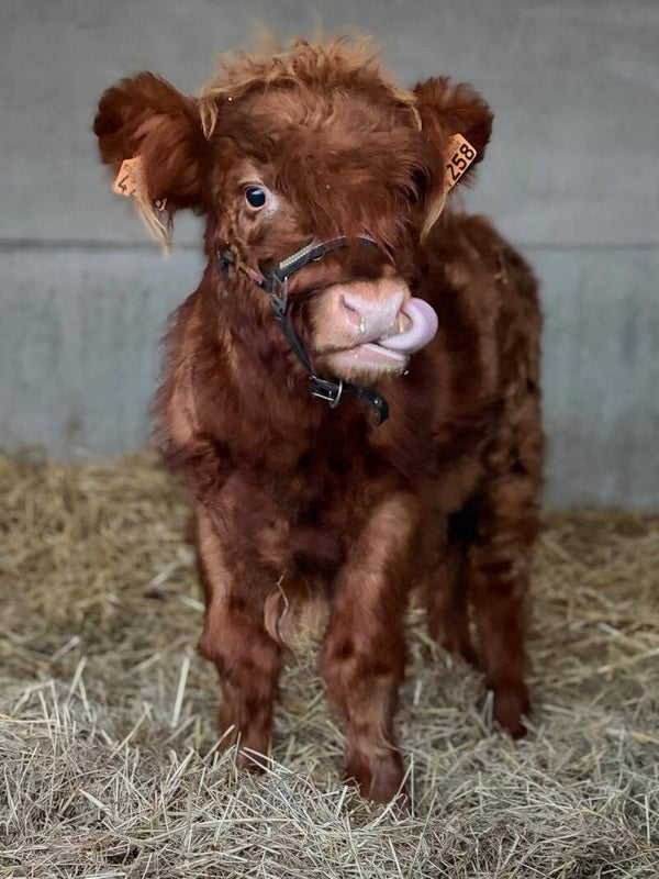 1 juli 2026 - Kinderfeestje – boerderijbeleving