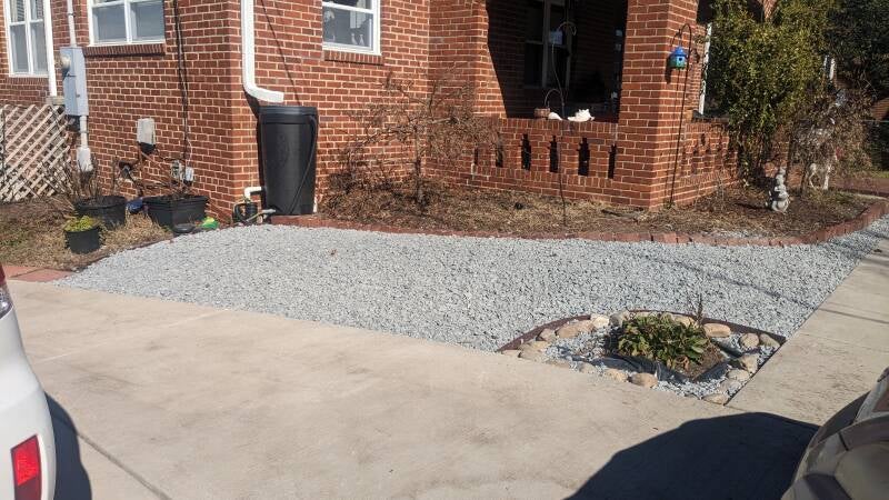 pxl_20240207_182927981-standard.jpg