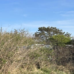 d7ec377d-c37e-41cc-a69f-f58838327a02-standard.jpg