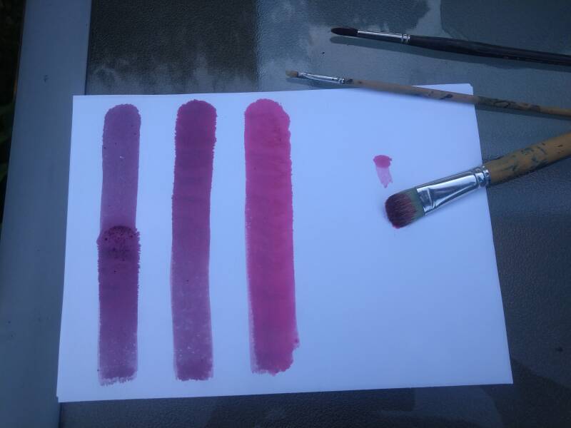 Herstellen von Pflanzenfarben