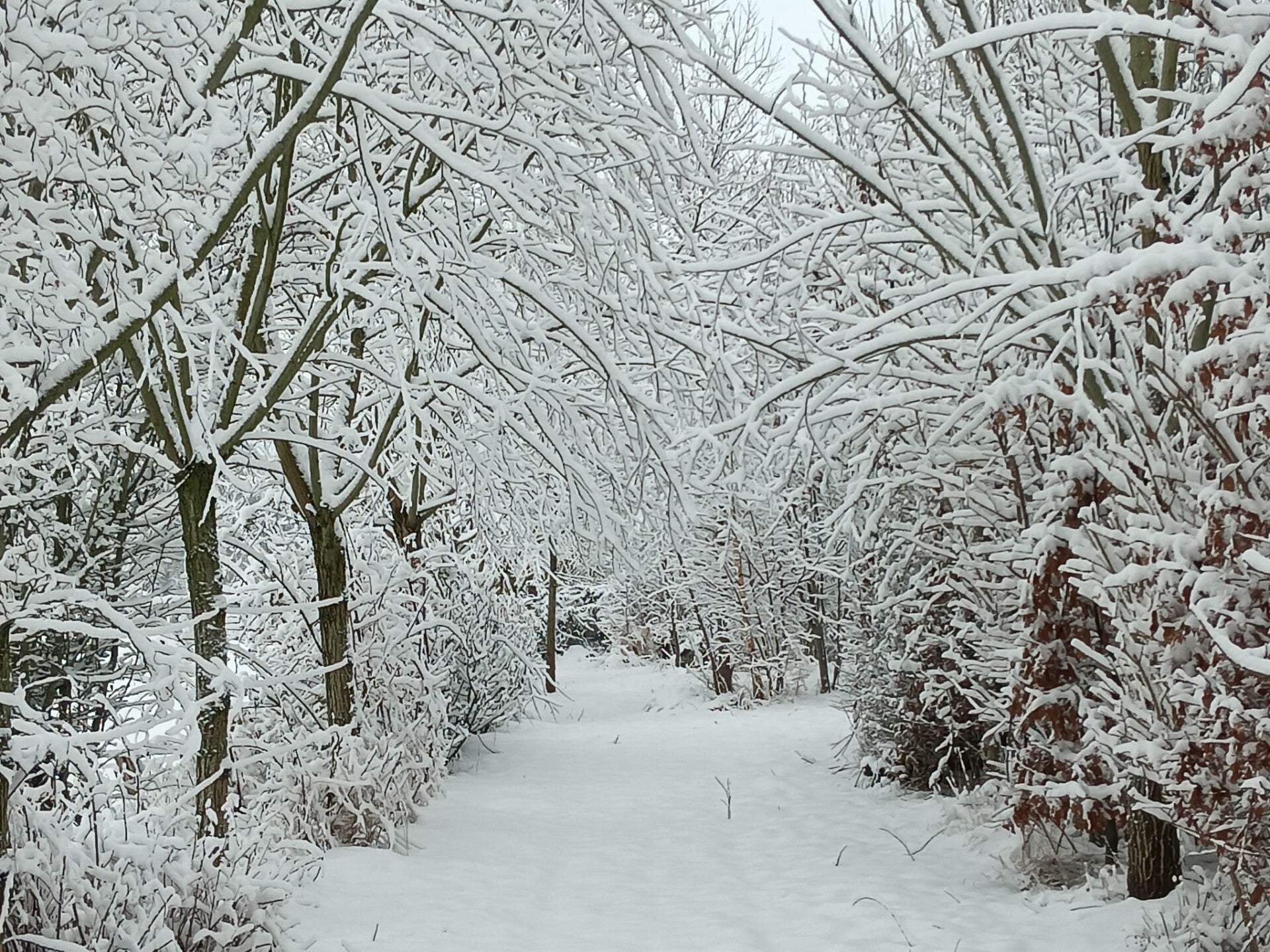 Winterspaziergang, Gemeinschaft, Aachen, Natur erleben