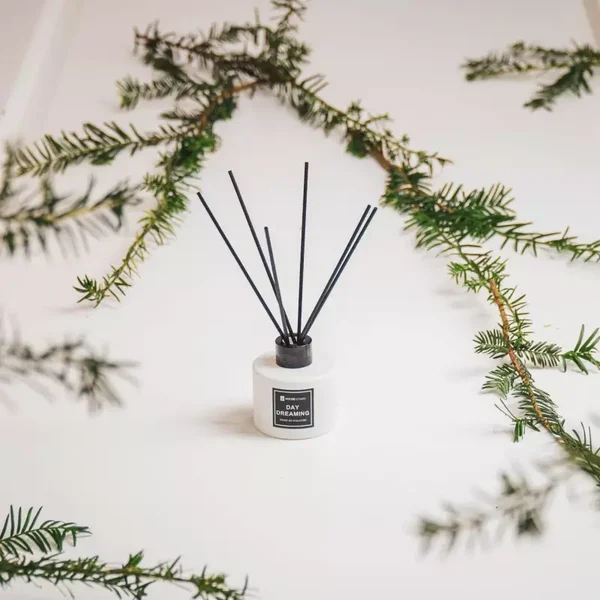 Day Dreaming Geurstokjes van HouseVitamin 100ml