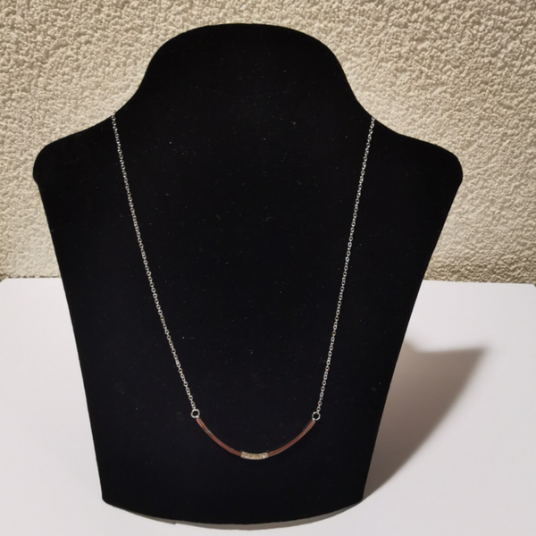 Stainless Steel Halsketting H21