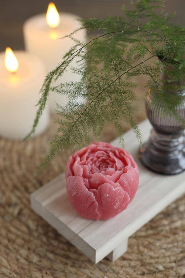 Aroma Roos Ideas 4 Seasons