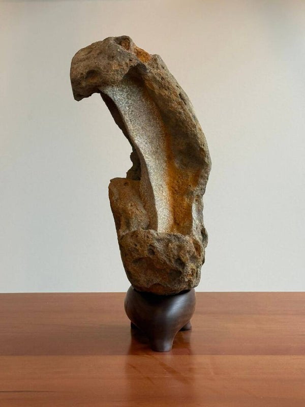 Sandstone Concretion on Black Walnut