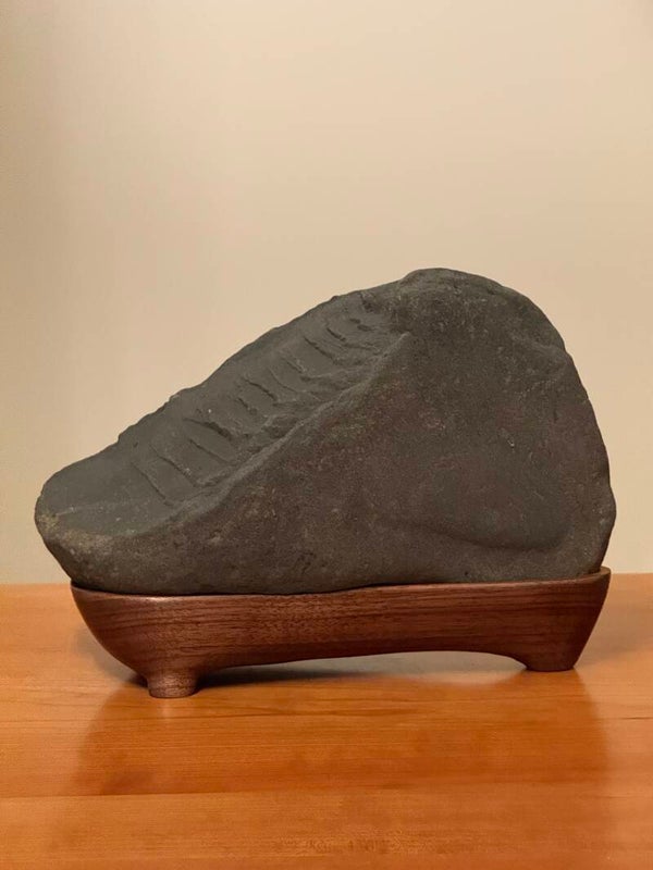 Argillite on Black Walnut
