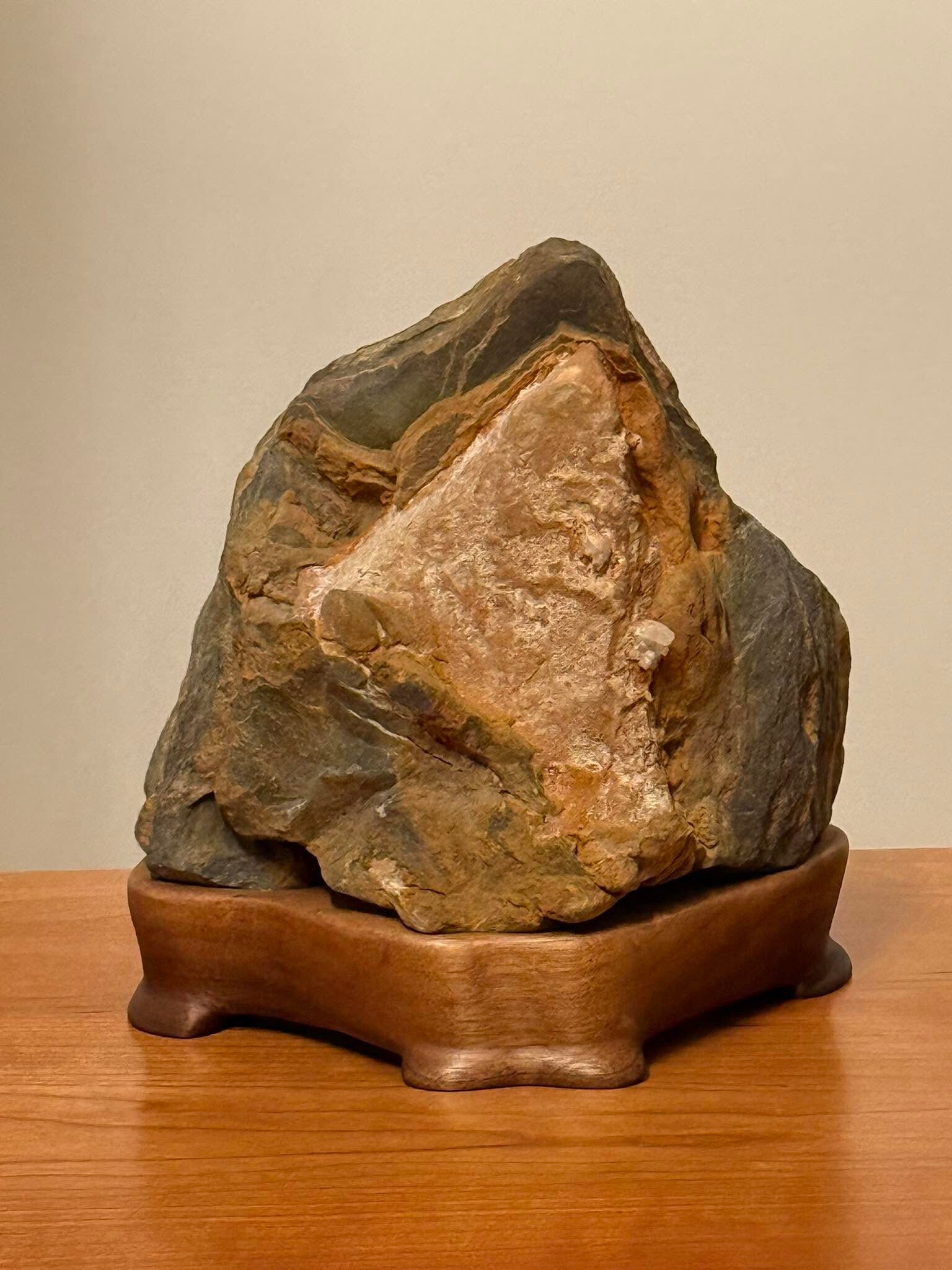 Sandstone embedded in Shale on Black Walnut