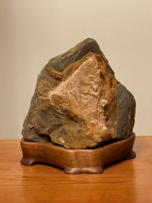 Sandstone embedded in Shale on Black Walnut
