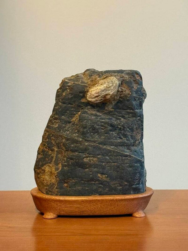 Schist on Basalt on Spanish Cedar