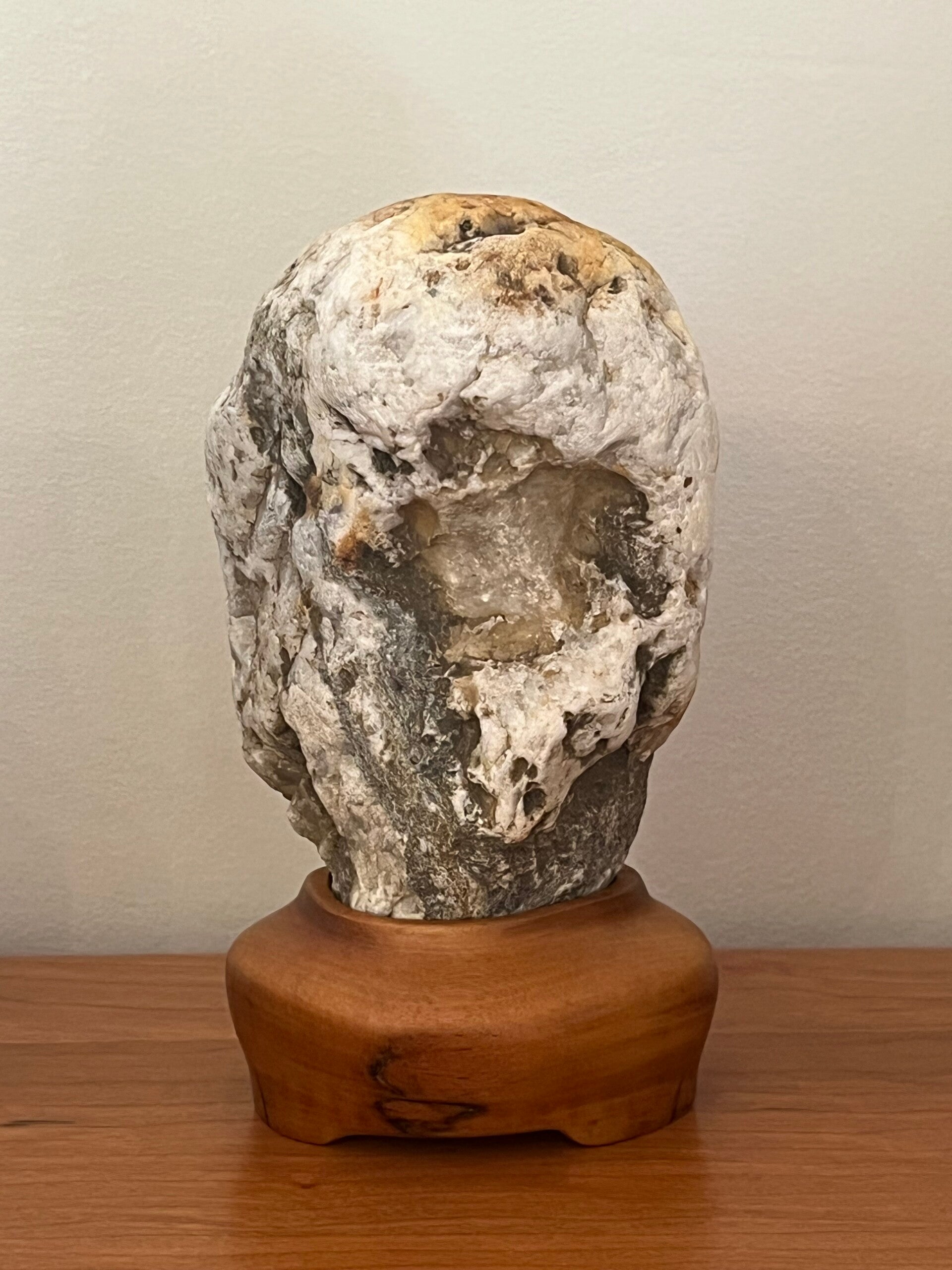 Schist on Sapele