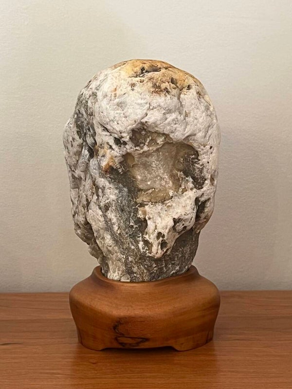 Schist on Sapele